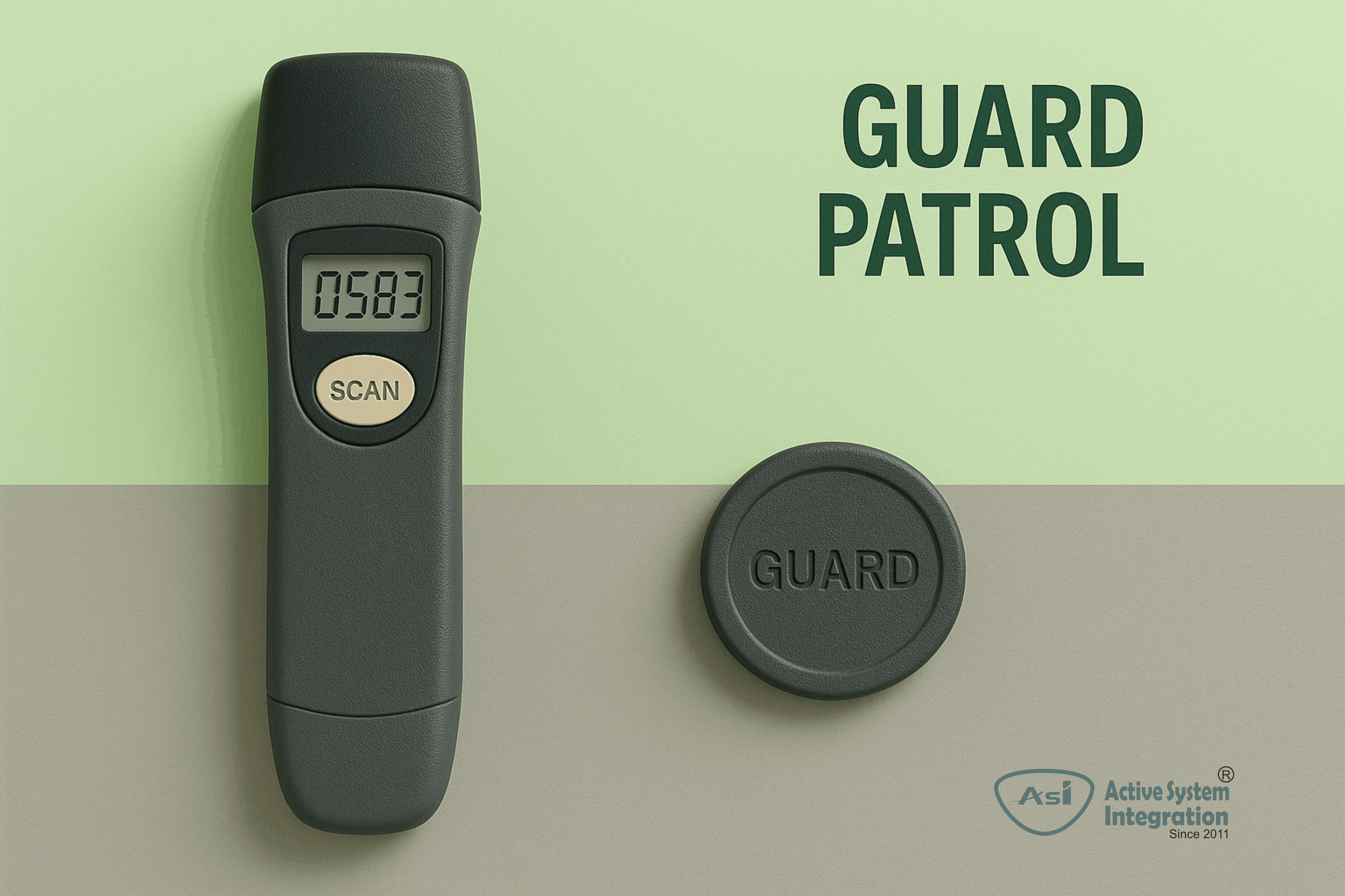 Guard Monitoring Systems and Integration Solutions